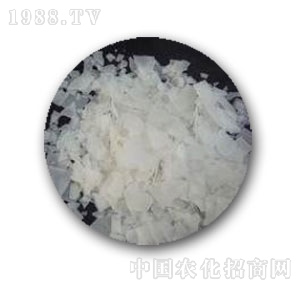 кW(xu)-99xĤƬ