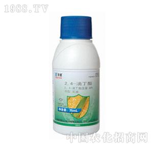 A-80%24ζEC